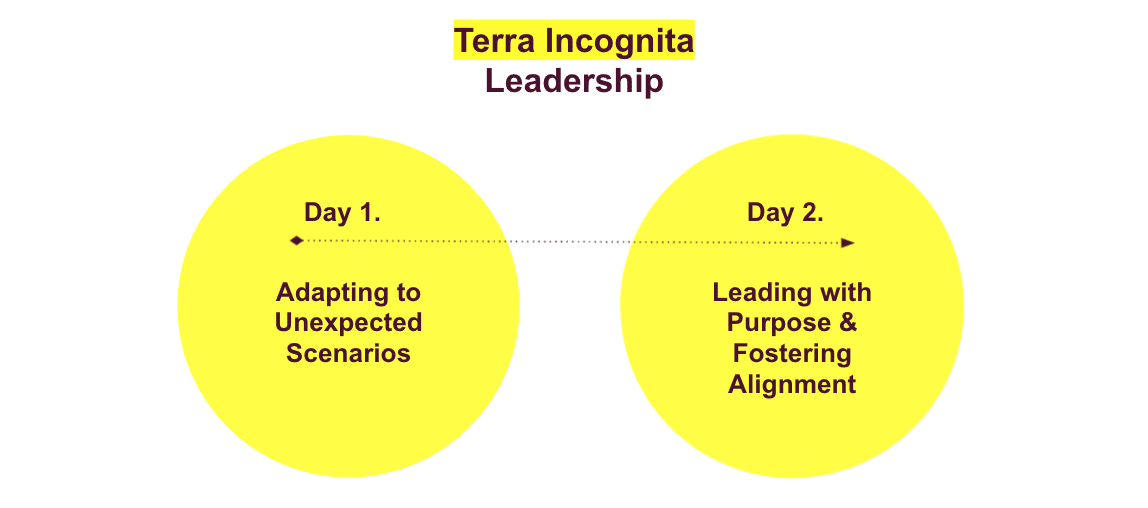 Terra Incognita Leadership